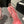 CC Slingback 95mm Pink Orange Suede