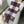SCARF 180 CM IN CHESTNUT BROWN MIX WHITE CASHMERE 402221