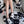 CREW SOCKS 279724 (1 BOX)