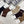 CREW SOCKS 279726 (1 BOX)