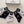CREW SOCKS 279730 (1 BOX)