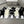 CREW SOCKS 279733 (1 BOX)