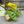 FF Baguette Slides Embroidered Green Nappa Leather 826566