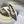 cd slingback flat transparent mesh embroidered black sun motif