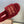 Miumiu 25 Slipper Red Wool 551695