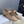 CD 26 Lolita High Heels 40 Beige Mesh Gold 633050