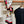 Chevaux Dechaines Shawl 135 CM IN Red Colorful Cashmere Silk 373683