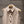 Gucci Sleeveless Vest Dress Beige Polyester Fiber