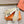 HM Bouncing Sneaker Khaki Canvas 581315