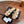 CC 26s Slipper Beige Lambskin 827259