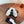 CC 26s Slipper White Lambskin 827260