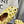 ALAIA PEARL MARY JANE SHOES IN YELLOW CORN LAMBSKIN