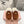 Miu Mule Wool Lining Caramel Brown Suede