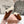 Miu Mule Wool Lining Caramel Brown Suede