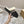 UGG Disquette Atherson Slipper Black White Wool Suede 512921