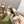 GG Snow Boots Beige Black Wool 576232