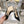 cd slingback pumps 95 black embroidered cotton ribbon