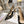 cd slingback pumps 95 transparent mesh embroidered black butterfly motif
