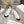 cd star sneaker white calfskin black suede
