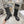 CD D-Major Boot Black Mix White Calfskin And Tweed Fabric