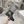 CD D-Major Boot Grey Mix Black Calfskin And Denim Fabric