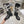 CD D-Major Boot Black Mix White Calfskin And Canvas