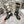 CD D-Major Boot Black Mix Beige Calfskin And Canvas