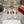 Viv 25 Square Buckle Platform White Red Cowhide 262979