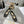 CD Very Ballet Flat Black Lace 679839