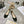 CD 26 Lolita Ballet Flats 30 Black Beige Patent Leather 679729