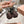 Miu 26s Ballerinas Chocolate Leather 679788