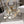 CD J'Adior Sandals White Canvas Leather 901709
