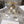 CD J'Adior Sandals White Canvas Leather 901709