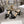 CD J'Adior Sandals Black Canvas Leather 901710