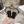CD J'Adior Sandals Black Canvas Leather 901710