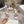 CD J'Adior Sandals Light Pink Canvas Leather 901715