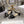 CD J'Adior Sandals Black Canvas Leather 901714
