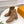 LV Ankle Boots 35mm Caramel Cowhide