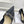 CD 25 Pump High Heels Black Calfskin 307420