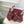 GG Horsebit Platform Loafer Slingback Burgundy Embossed Leather 640260