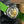 Patek Philippe Nautilus 38.8mm Green Dial Green Strap