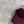 PRADA 25S SUEDE DOWN VEST 385