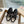 Miumi x Newbalance Sneaker Black Mesh Patent Leather