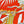 HM 26s 90 Double-sided Scarf Orange Red Colorful Mulberry Silk 157527