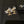 CC Transparent Acrylic Bow Gold Earrings