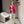 CHANEL 25S HOODED SPORTS JACKET 447