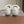 Miu Miu 2026 Espadrille Sneaker White Canvas Woven 621339