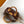 Louis Vuitton 2026 Speedy Trunk 20 Brown Tan Monogram Canvas Mix Cowhide