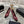 CC 26s High Heels Pump 85 Burgundy Black Sheepskin 627007