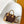 Louis Vuitton 2026 Speedy Trunk 20 Brown Tan Monogram Canvas Mix Cowhide